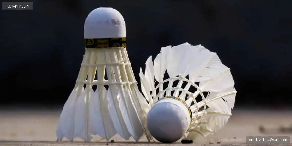 正版周边,情怀加码!👕